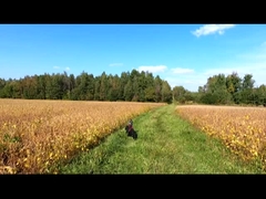 UAV com asa fixa, vertical, drones de vigilância, mapeamento de aeronaves agrícolas e industriais